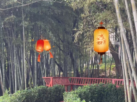 乡村宜居栈道装饰