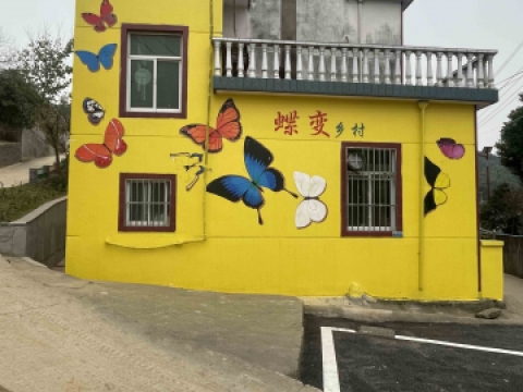 蝶变乡村打卡墙